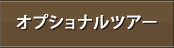 オプショナルツアー